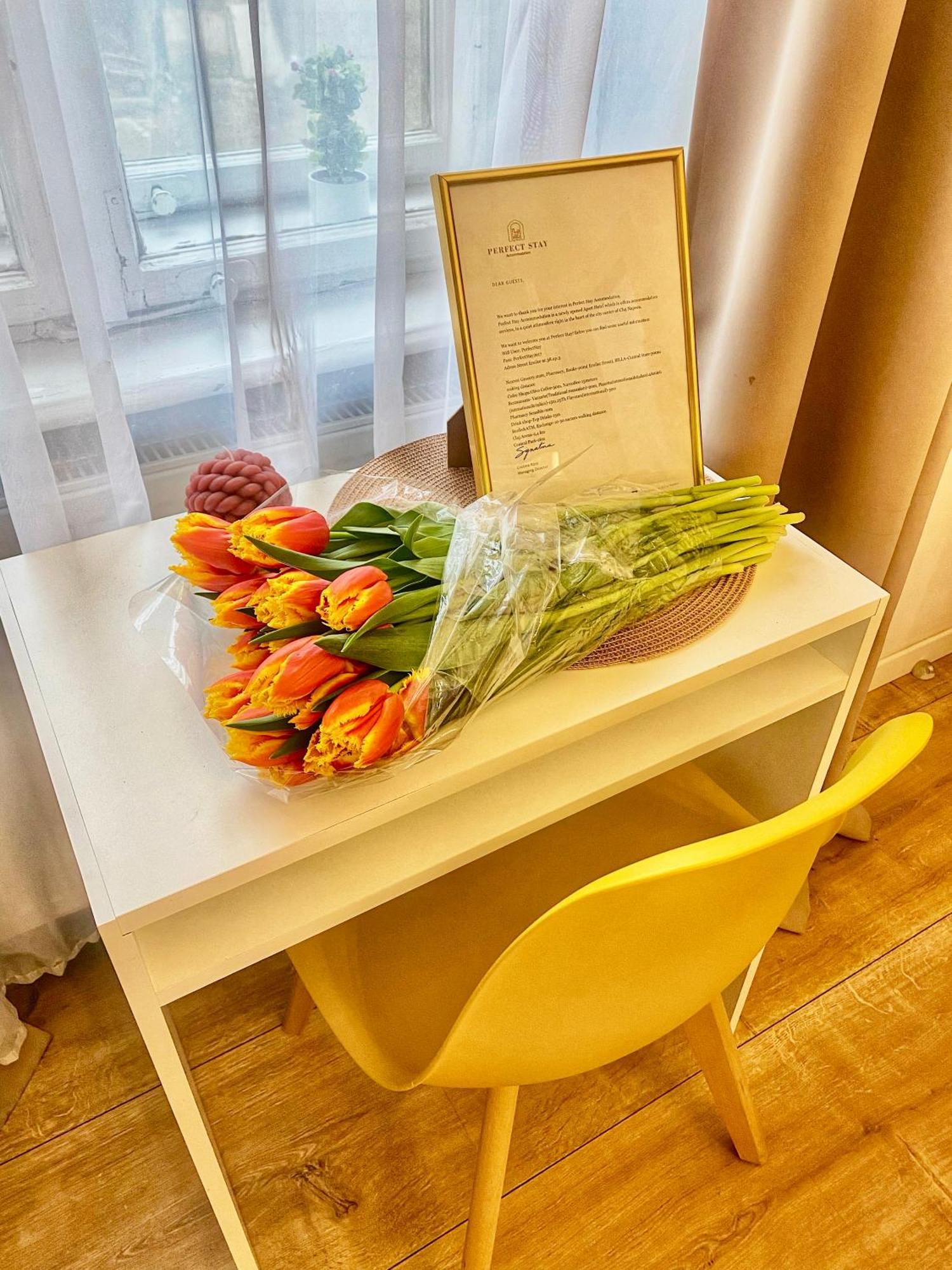 Perfect Stay Cluj-Napoca Exterior foto